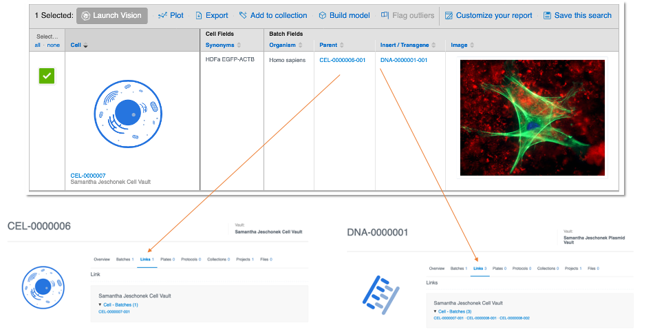screenshot of CDD Vault